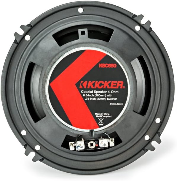 6.5 Inch & 6x9 KS-Series Speakers D88610