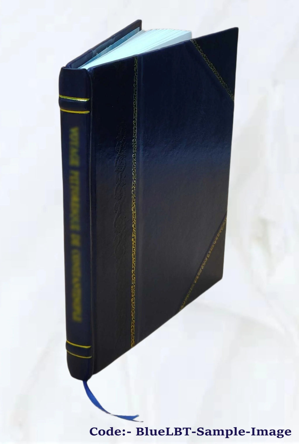Leather Bound Book Y652