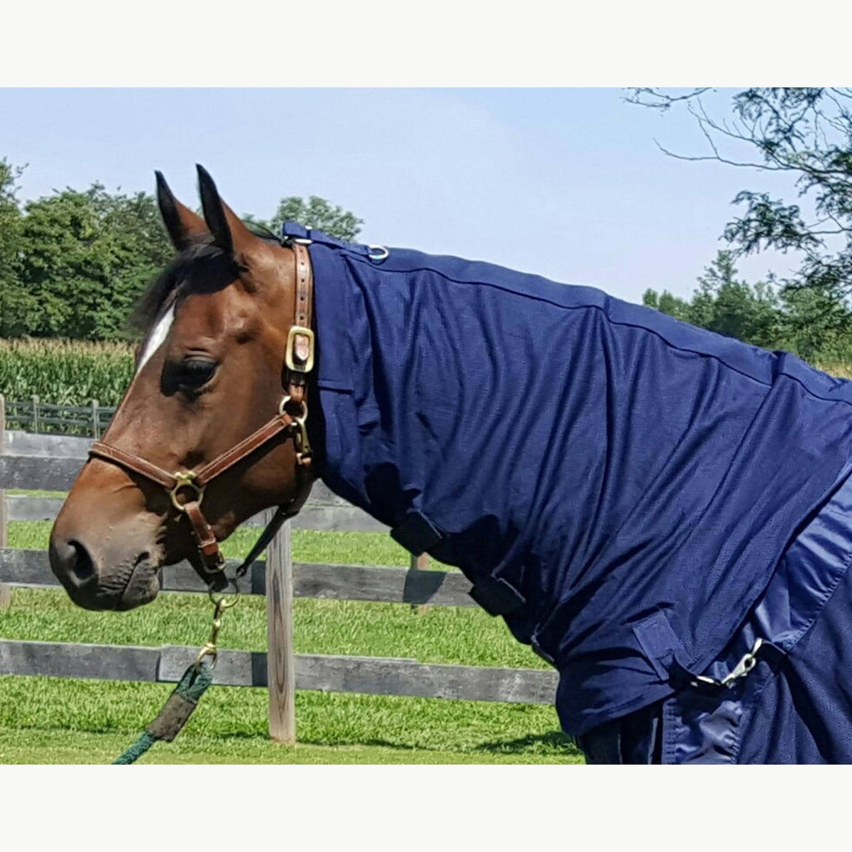 Mesh Horse Neck Cover X4395