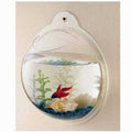 Wall Mounted Acrylic Fish Bowl D405172