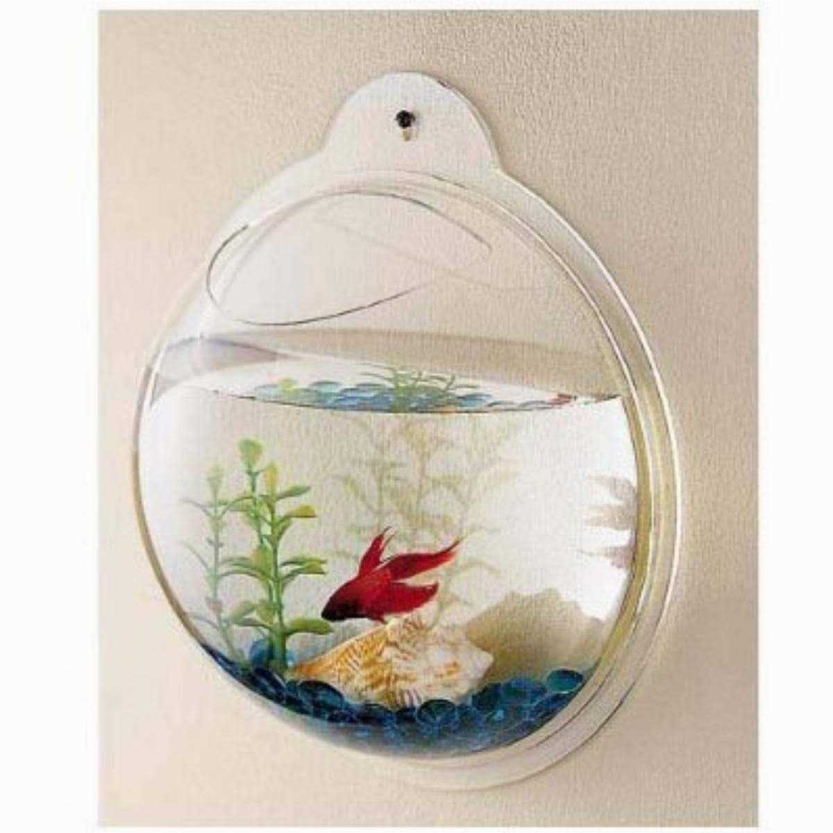 Wall Mounted Acrylic Fish Bowl D405172