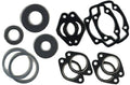2007-2010 Arctic Cat Suzuki M1000 Sno Pro Gasket Set with Oil Seals L496