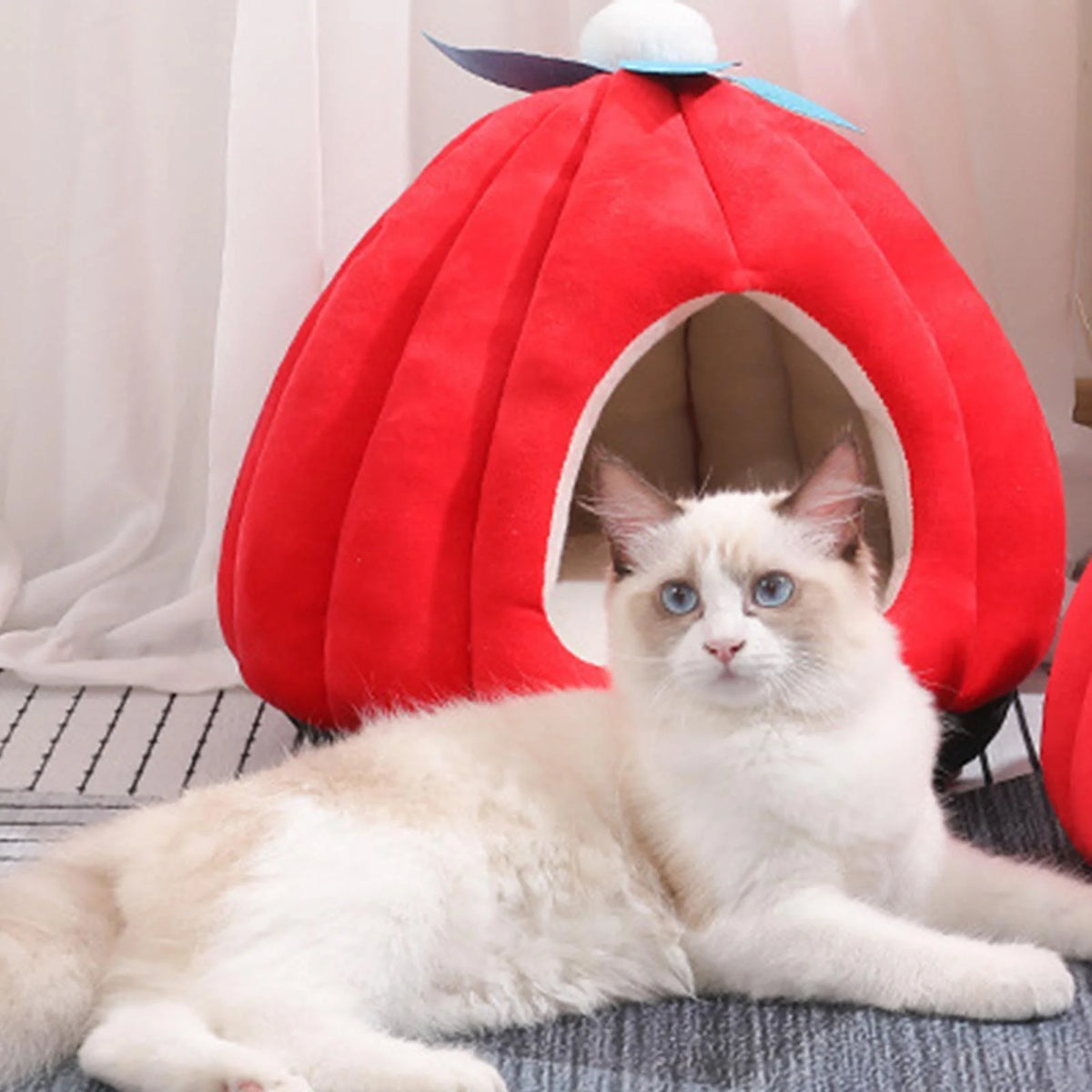 Cat Bed Igloo Pet Bed Cat House Hut Kitten Bed Hideaway Small Dog Tent Bed P852