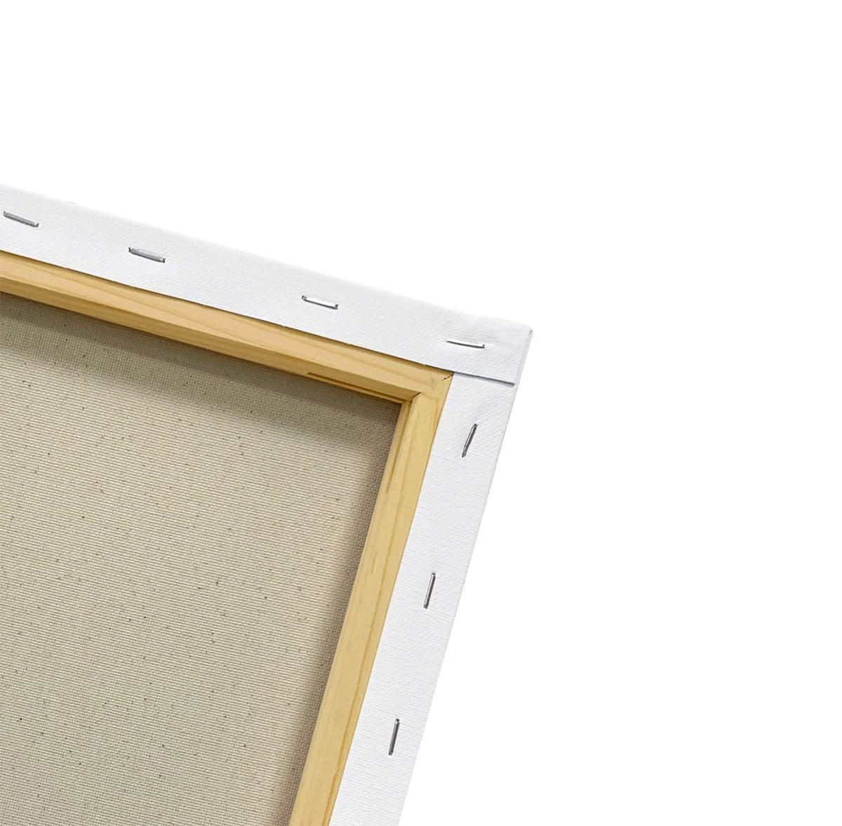 Decorative Canvas Wall Art V756047