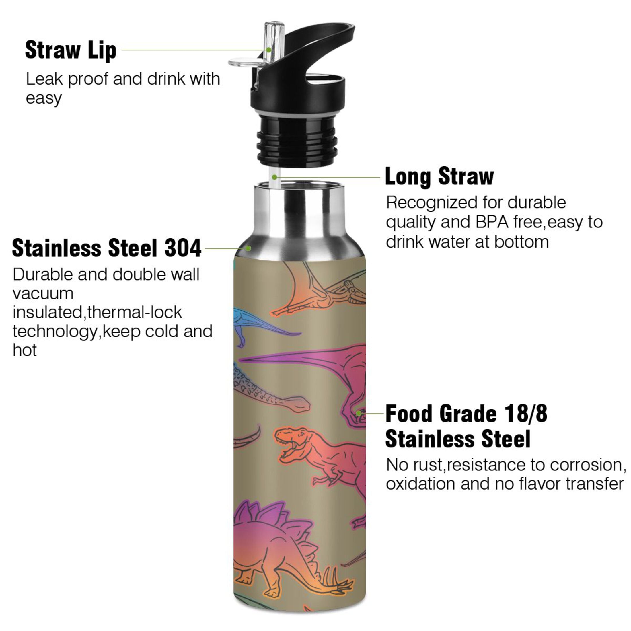 Colorful Dinosaur Stainless Steel Insulated Water Bottle with Straw Lid T835