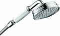 Handheld Shower Head F227