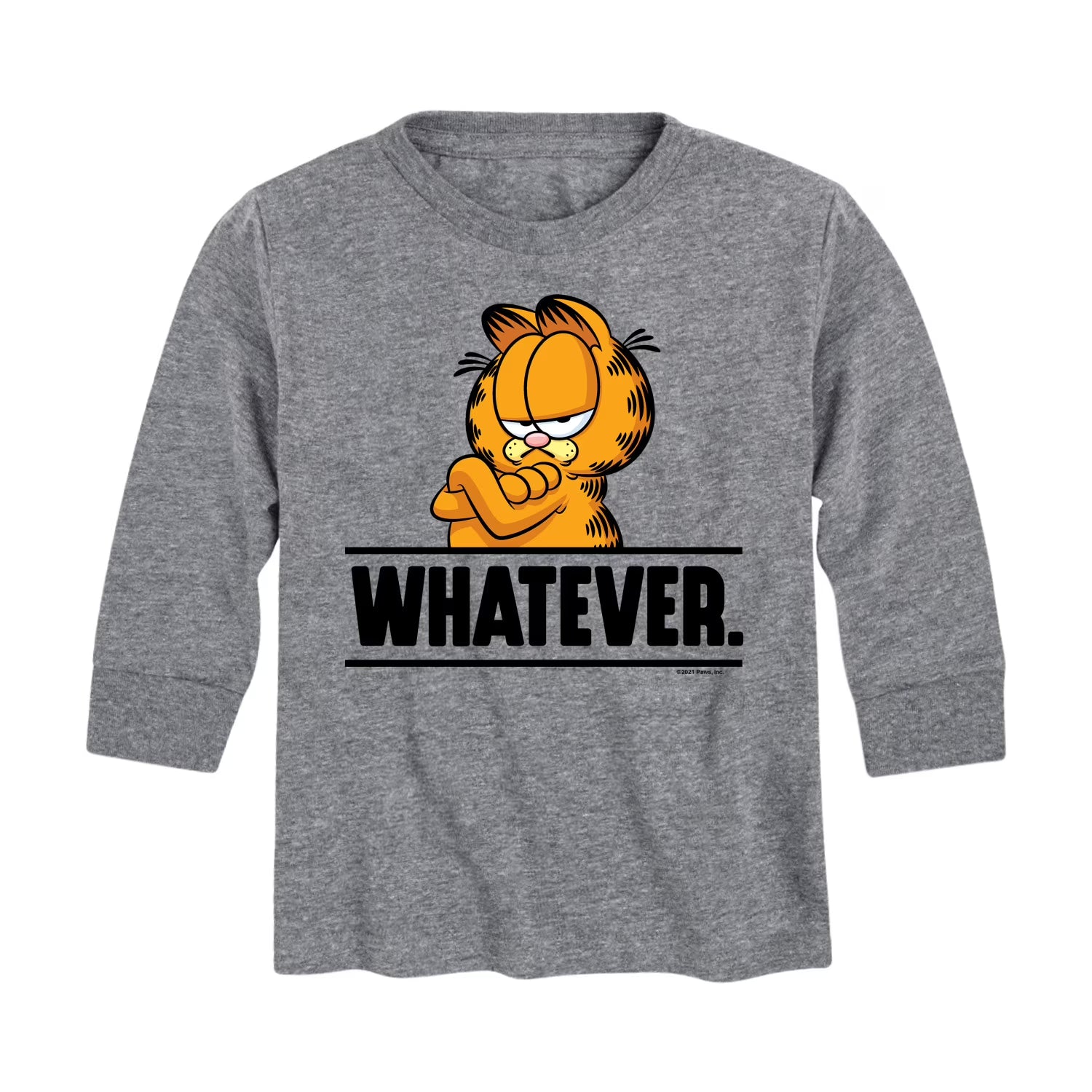 Toddler And Youth Long Sleeve Graphic T-Shirt Y858577