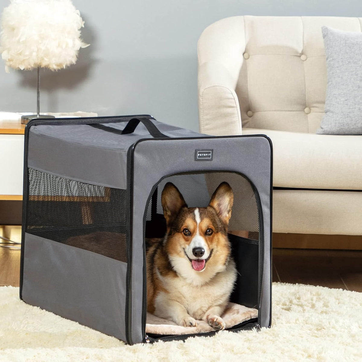 Collapsible Medium Dog Travel Crate Pack of 2 T25395