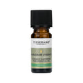 Marjoram (French) Essential Oil 9ml Z534603