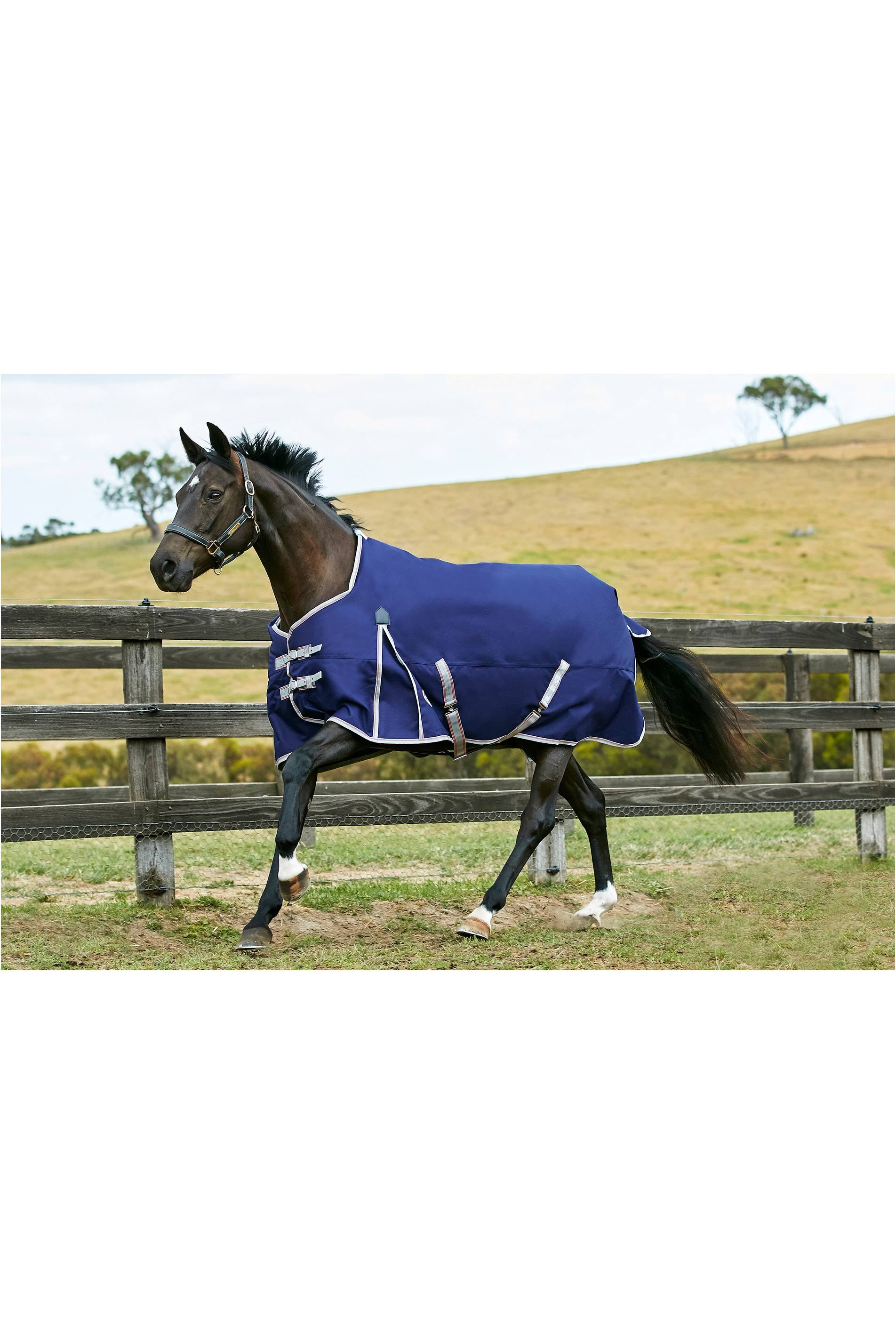 Navy/Silver/Red Standard Neck Medium ComFiTec Essential P450