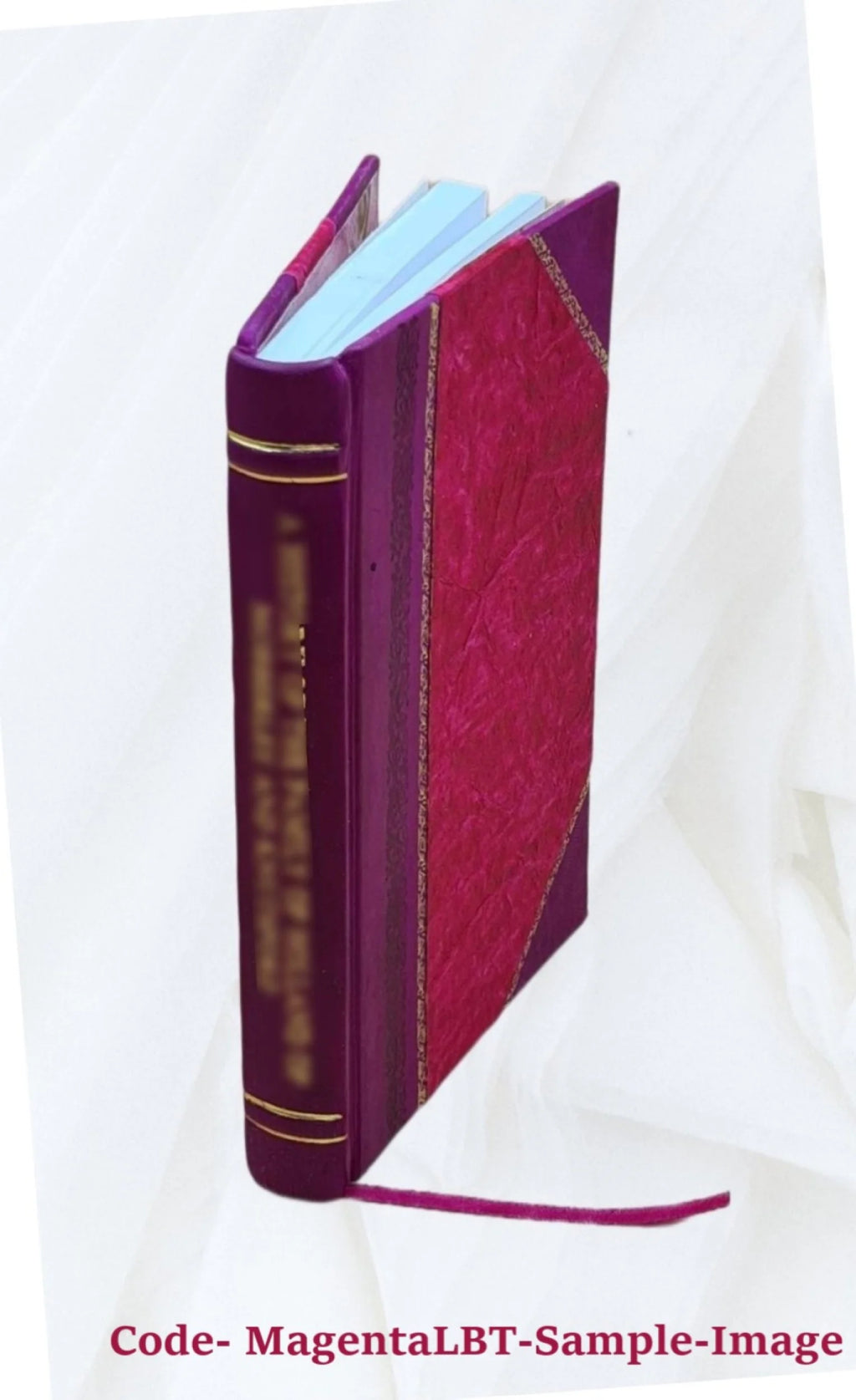 Leather Bound Book Y652