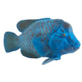 Blue Grouper Wildlife Figurine R8232