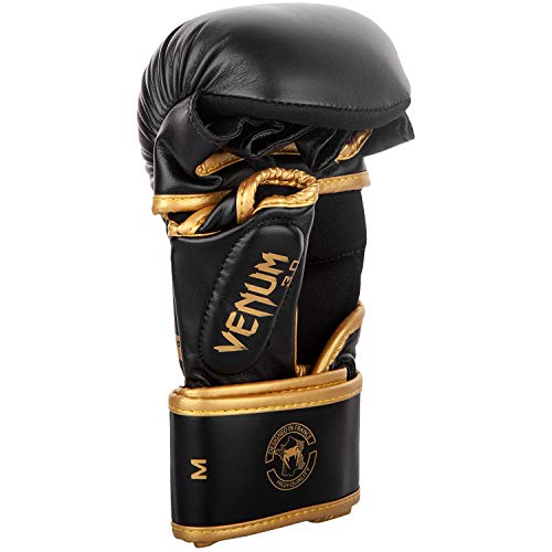 Sparring Gloves Y95668