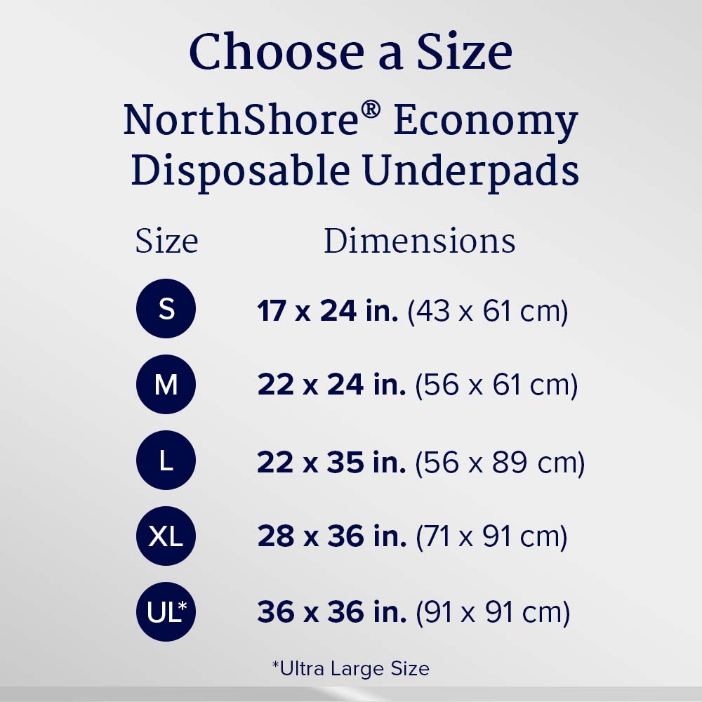 Economy Disposable Underpads, Small, 17x24 in., Case/200 F365303