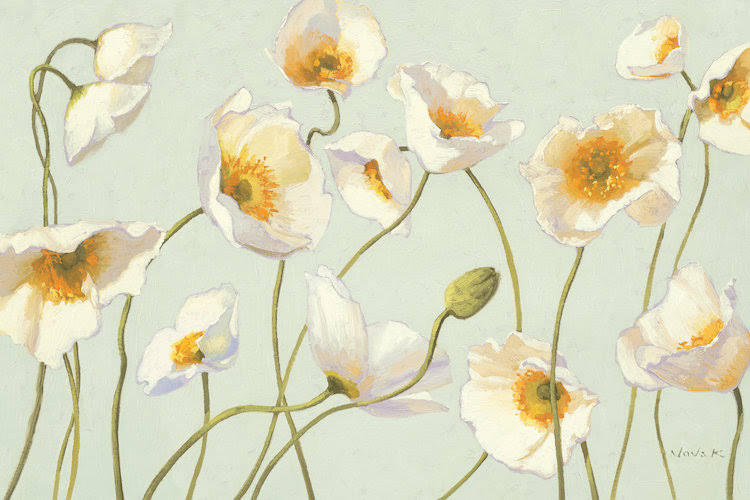 White and Bright Poppies Canvas Wall Decor Prints N765