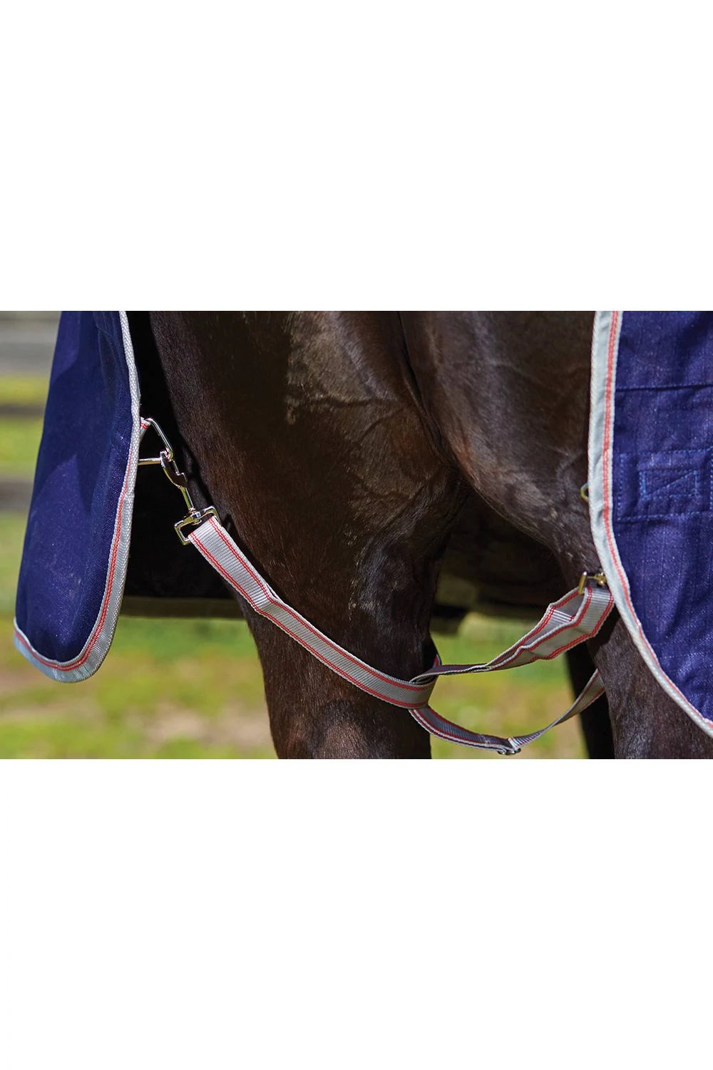 Navy/Silver/Red Standard Neck Medium ComFiTec Essential P450
