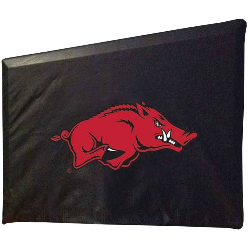 TV Cover D856121