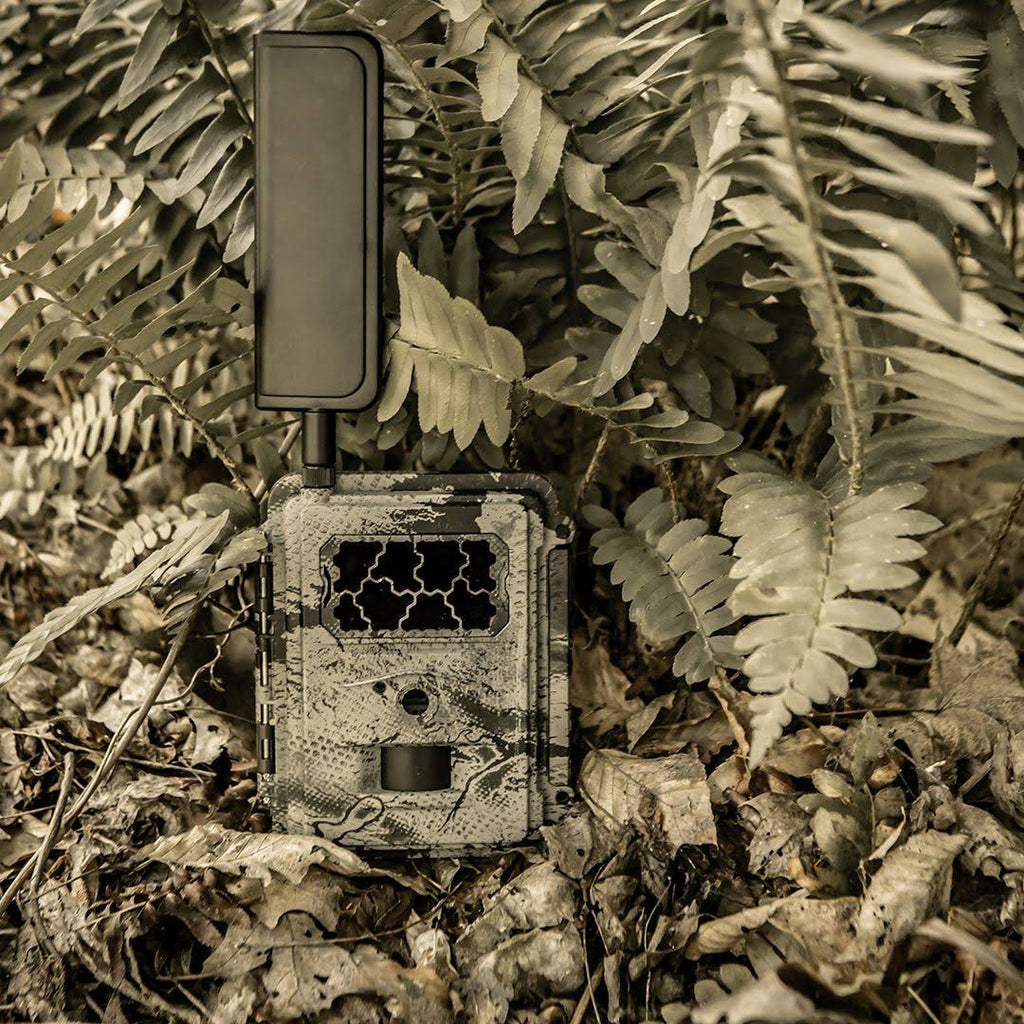 Blackout Cellular Camera 4G-LTE N320425