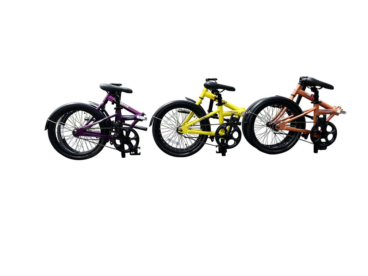Purple Aluminum Folding Bike J607