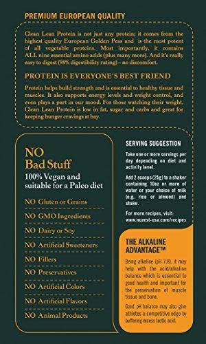 Clean Lean Protein Pea Protein Powder Z111968