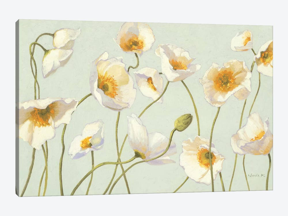 White and Bright Poppies Canvas Wall Decor Prints N765