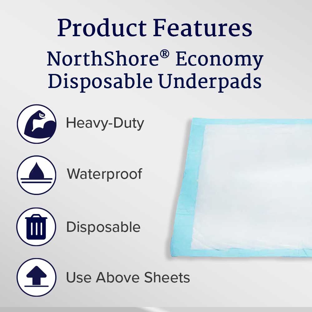Economy Disposable Underpads, Small, 17x24 in., Case/200 F365303