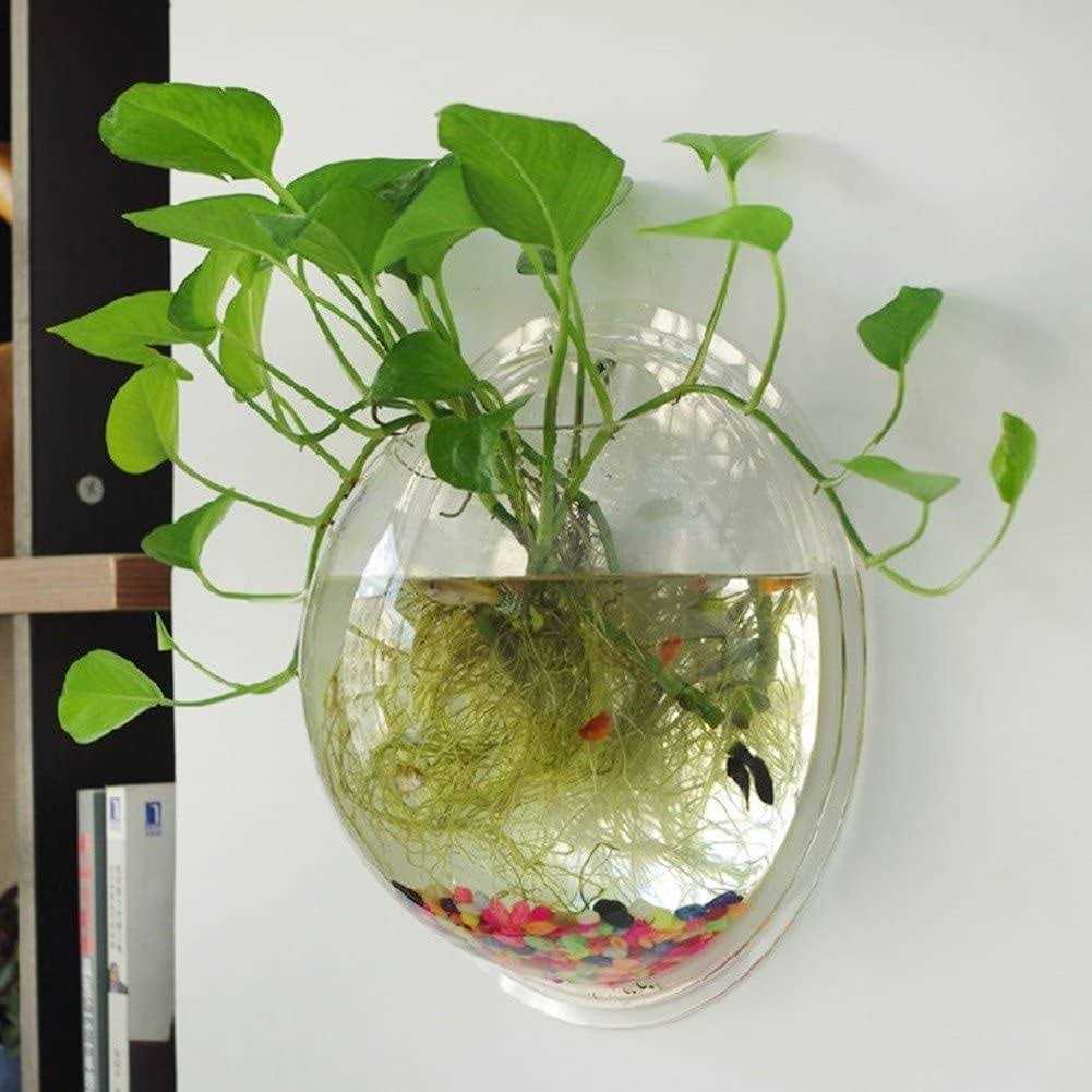 Wall Mounted Acrylic Fish Bowl D405172