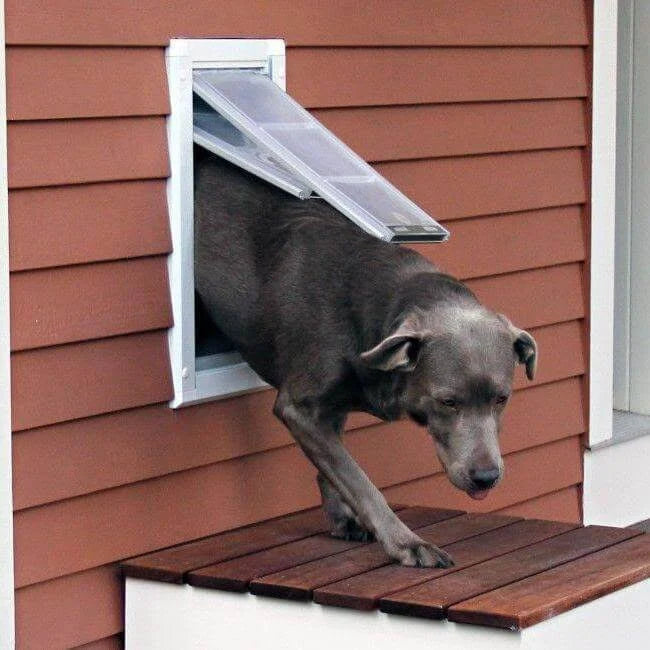 White Wall Mount Pet Door Medium Single Flap C65707