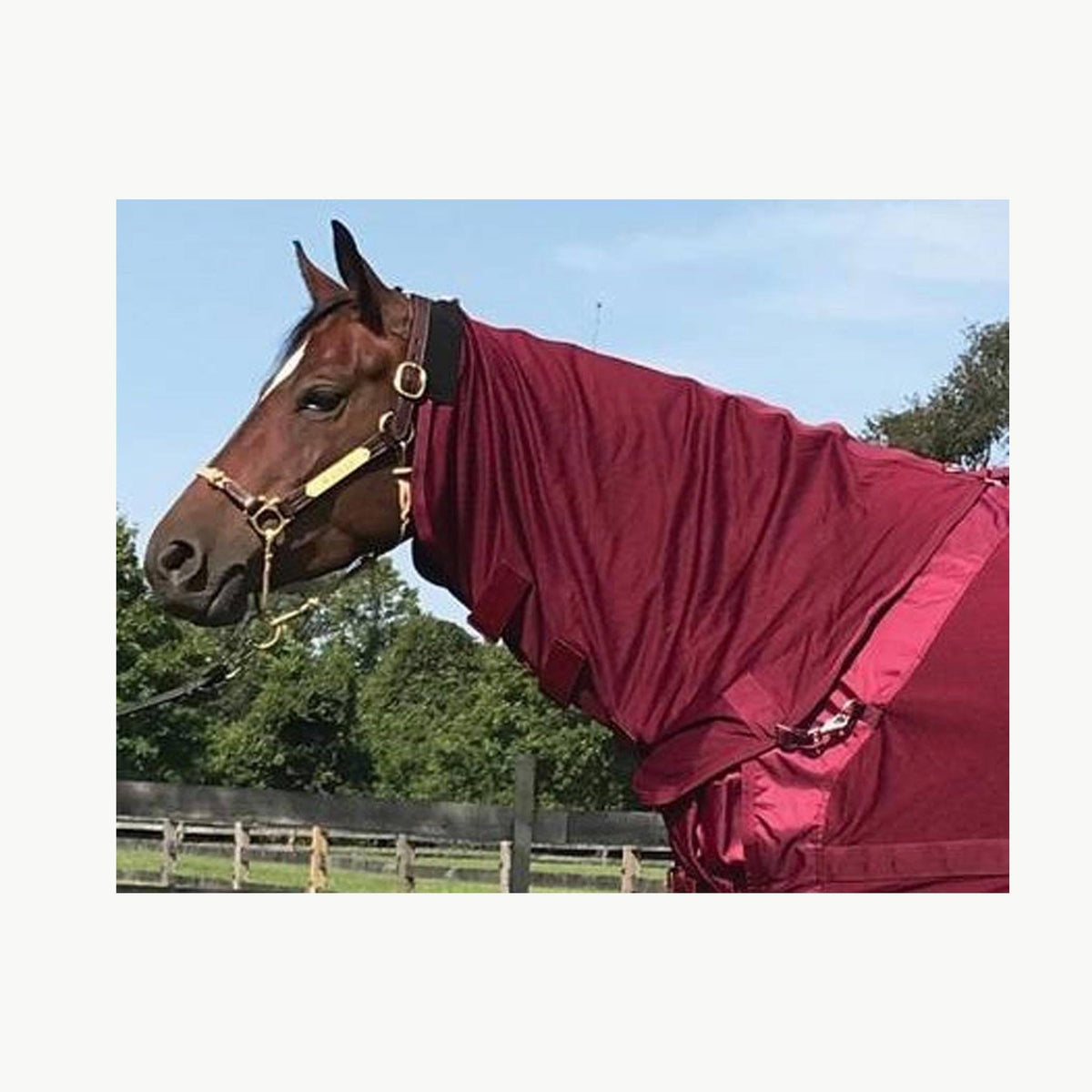 Mesh Horse Neck Cover X4395