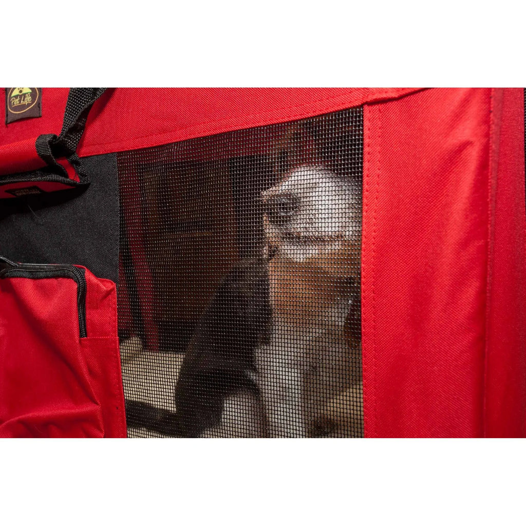 Red Folding Pet Carrier K1272