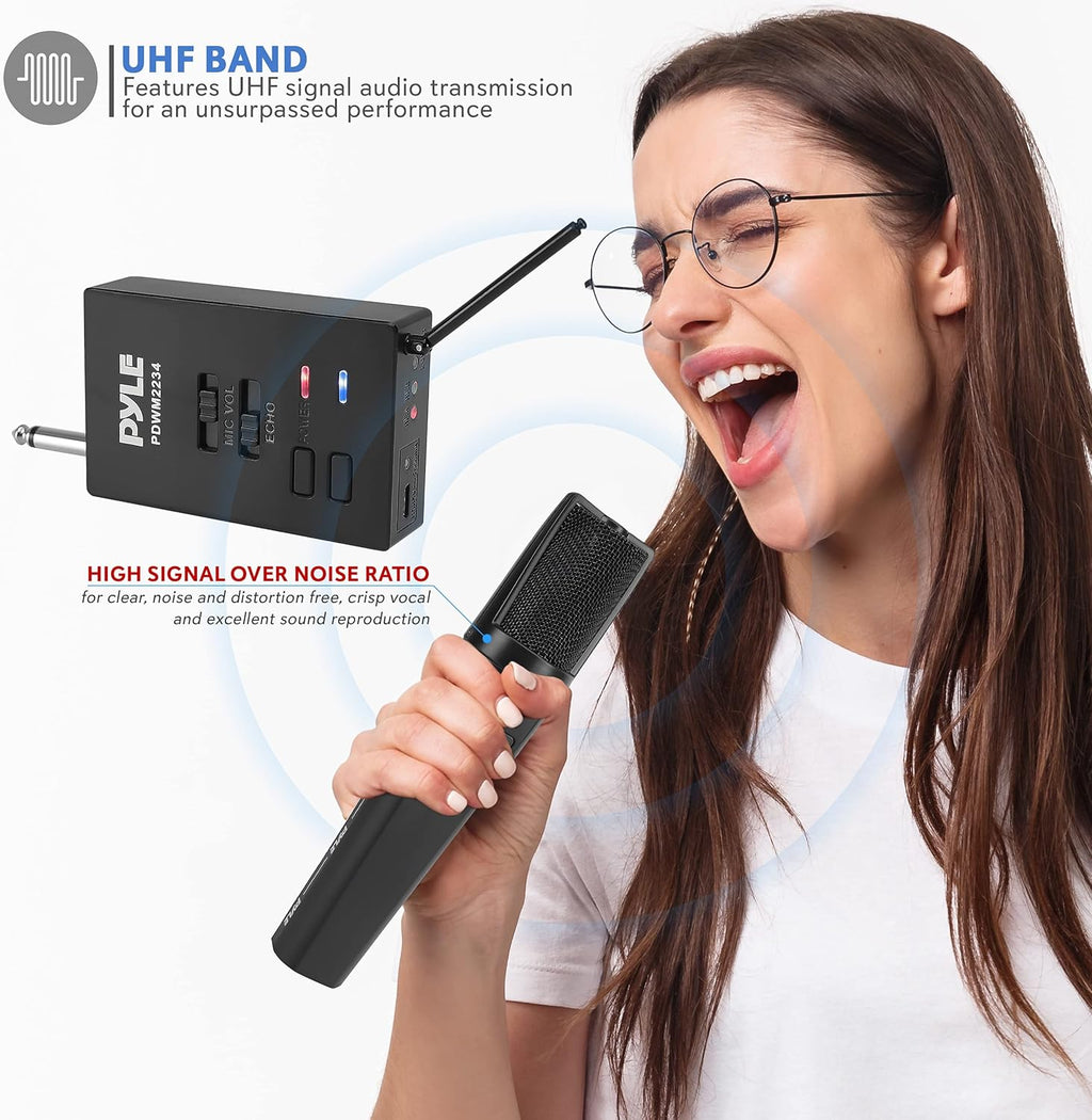 Portable Dual Wireless Microphone System with Rechargeable Battery, 2 Handheld Transmitter, 1 Receiver, Black M254132