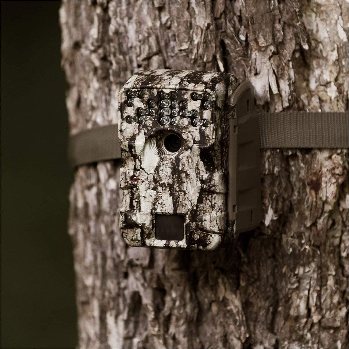 30 MP Game and Trail Cameras with SD Card and Batteries D126