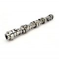 Camshaft GM Gen V LT1 A1655
