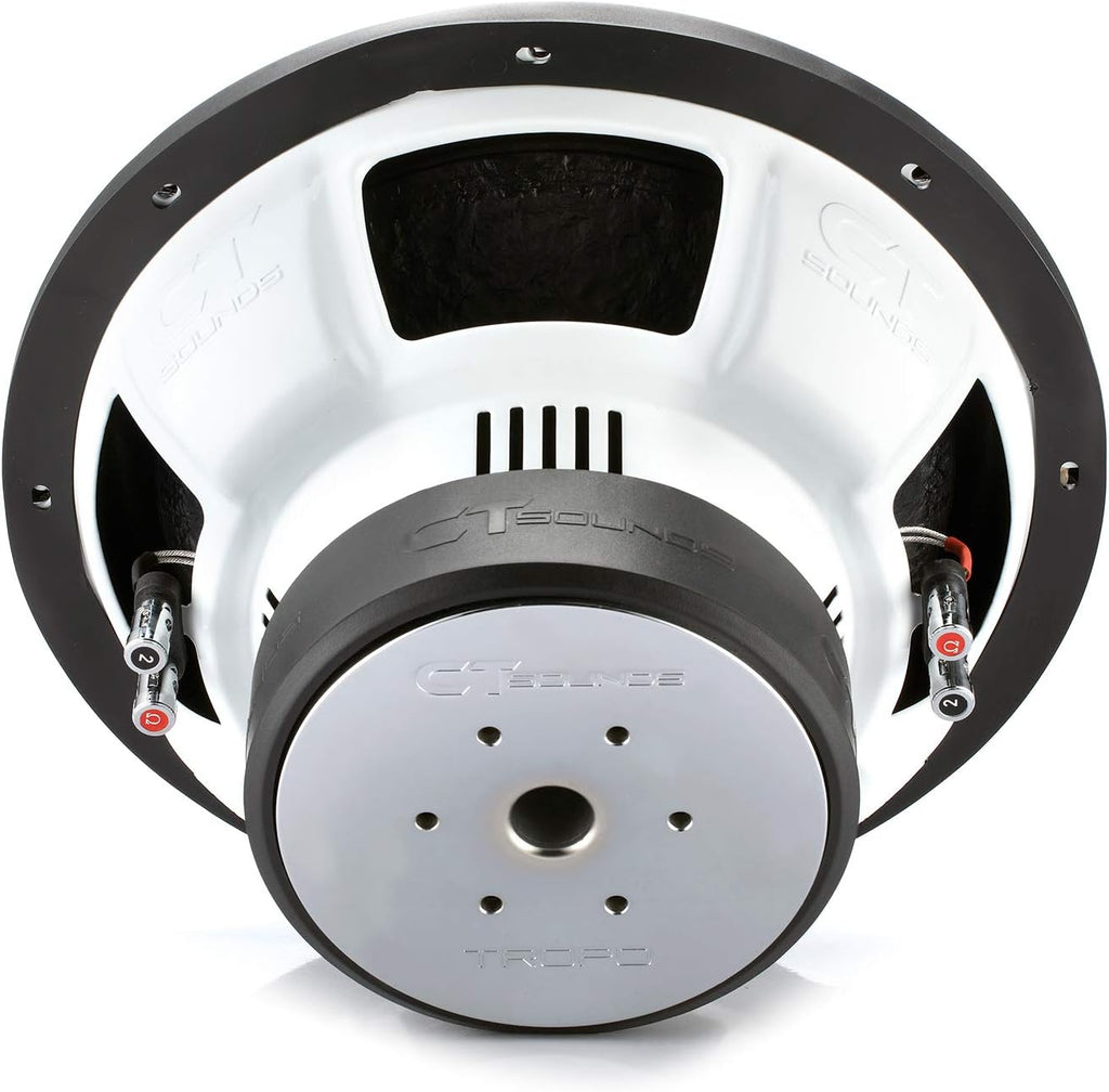 12 Inch 1300 Watt Max Car Subwoofer Dual 4 Ohm I437