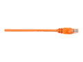 Black Cat6 Patch Cable 25-Pack T556
