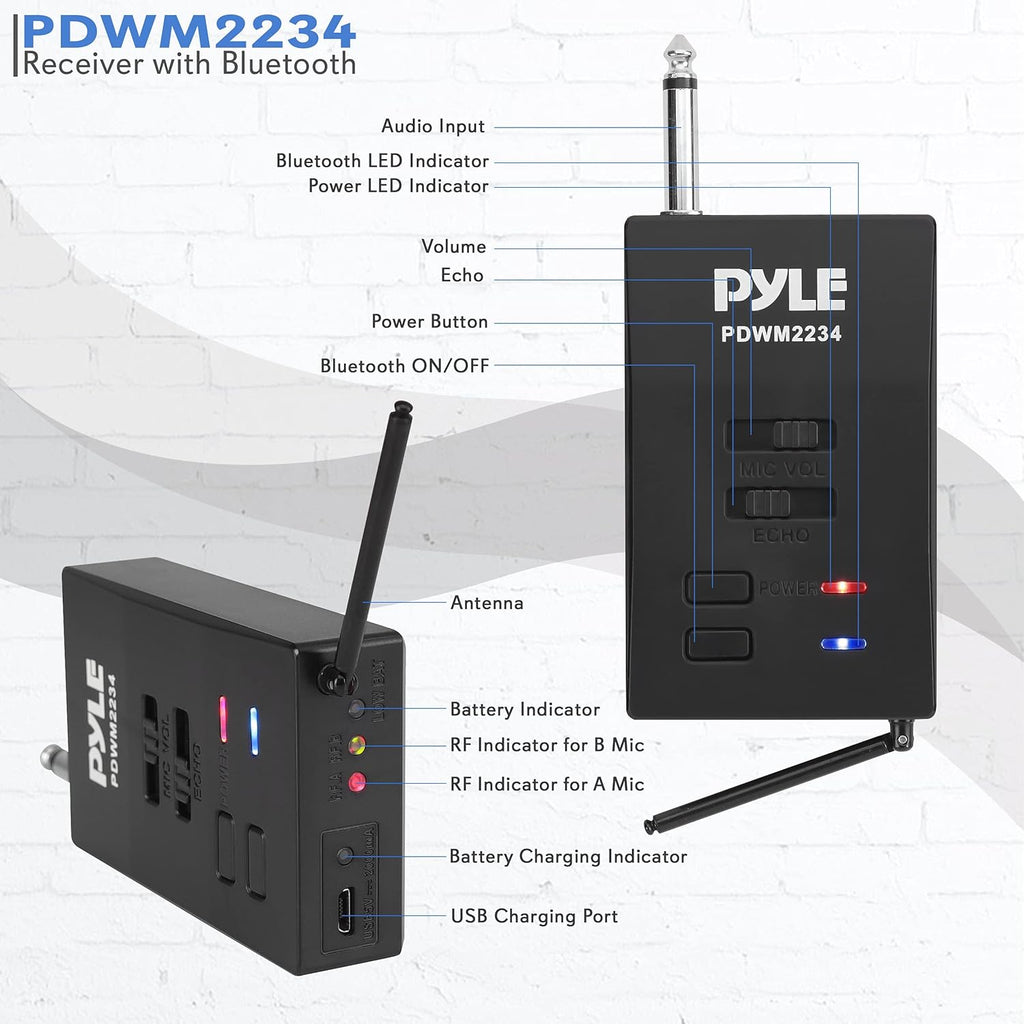 Portable Dual Wireless Microphone System with Rechargeable Battery, 2 Handheld Transmitter, 1 Receiver, Black M254132