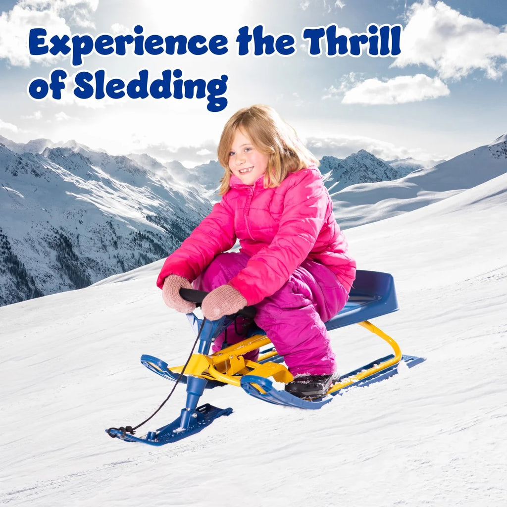 Snow Sled with Padded Steering Wheel, Twin Brakes & Pull Rope P258044
